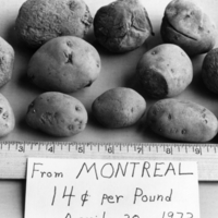 Alexander Campbell Photograph - 28